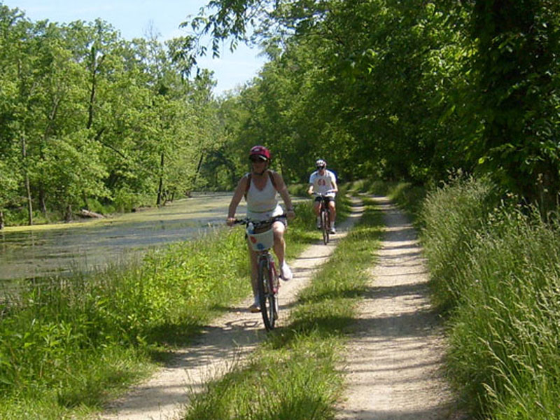 Bike rental in Caunes-Minervois